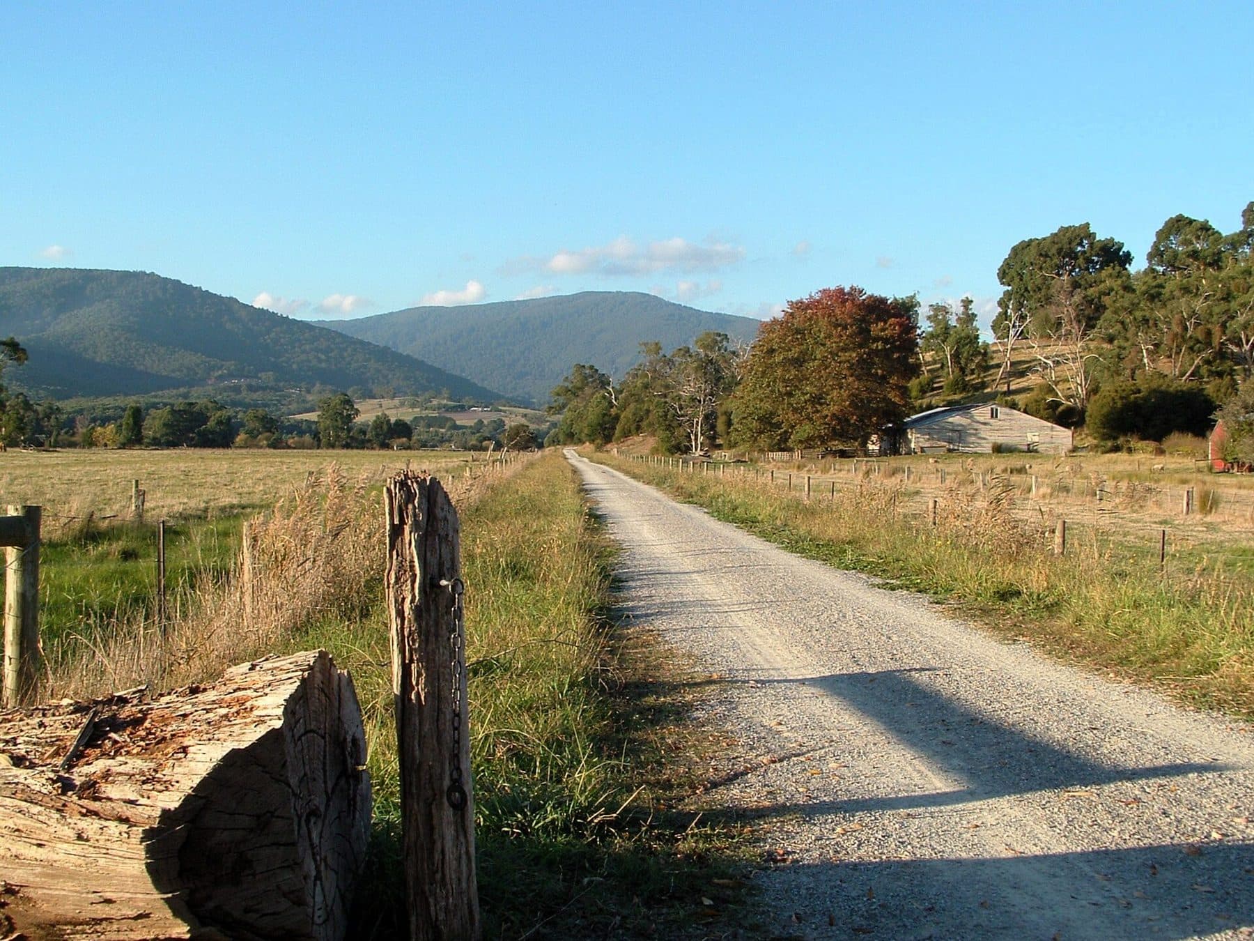 A gravel trail between paddocks and a line of trees, with the ranges behind